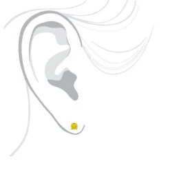 14K Yellow Gold Round Canary Yellow Diamond Stud Earrings 1/2ct 9 14K Yellow Gold Round Canary Yellow Diamond Stud Earrings 1/2ct -Its Hot Jewelry Shop 14k round canary yellow diamond stud earrings 12ct p 6155 bodye