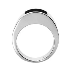 18K White Gold Men's Black Onyx Ring 12.9mm 8 18K White Gold Men's Black Onyx Ring 12.9mm -Its Hot Jewelry Shop 18k gold mens black onyx ring p 31945 back white 20220426