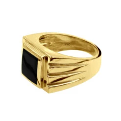 18K Yellow Gold Men's Black Onyx Ring 14.4mm -Its Hot Jewelry Shop 18k gold mens black onyx ring p 31960 backye