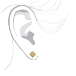 Champagne Diamond Stud Earrings 0.23ct 10K Yellow Gold -Its Hot Jewelry Shop champagne diamond stud earrings 023ct 10k gold body yellow