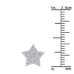 14K White Gold Fully Iced Out Pave Diamond Star Earrings Studs 0.25CT By Luxurman -Its Hot Jewelry Shop jewelry 14k gold fully iced out pave diamond star earrings studs 025ct by luxurman rulerwh